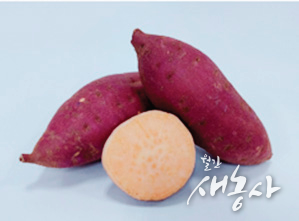 '호풍미'
