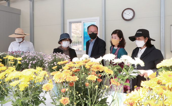 주요 사업 중 국화 신품종 육성계통 품평회