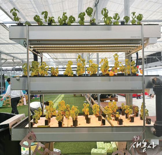 아쿠아포닉스 시설